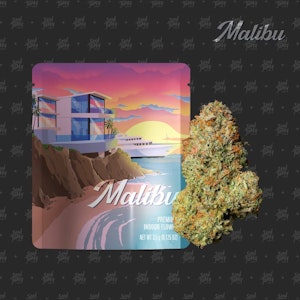 SEED JUNKY - Malibu - 3.5g (H) - Seed Junky