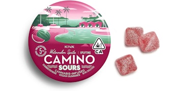 Camino - Watermelon Spritz Sour Gummies - 100mg