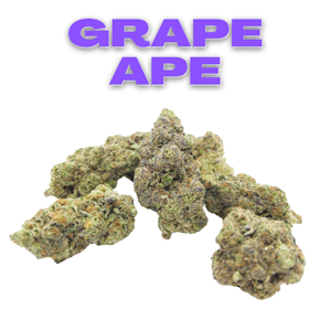 Good Tree - GT Grape Ape 8th (7g for $50)