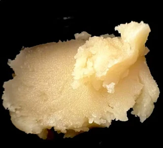 Wellman Farm - Star D - 1g Live Rosin - Sweetgrass Solventless x O.M.G.