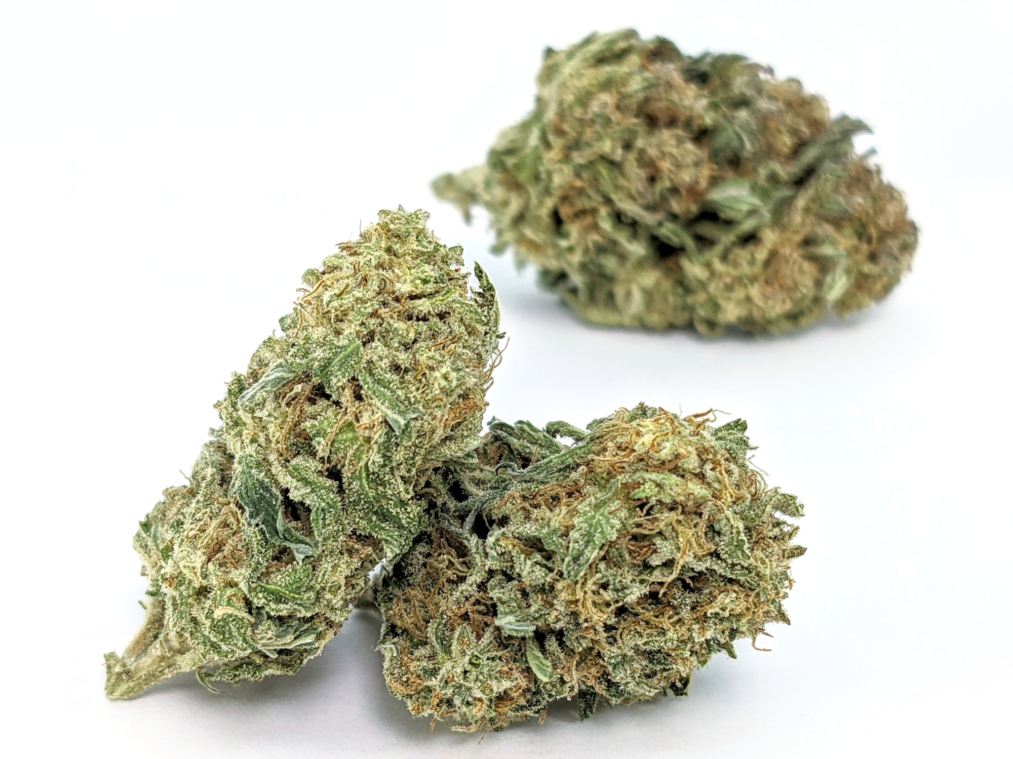 Mac #9, Sungrown - Portland Cannabis Delivery | Kush Cart