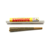 Sunday | Tropicana Cookies | 1G