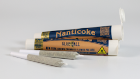 Nanticoke - GlueBall - .5g - Preroll