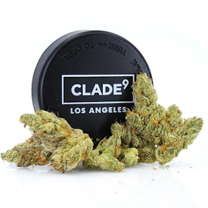 CLADE9 - Clade9 3.5g Orange Push Pop $50