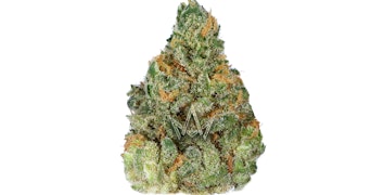 Fog City Farms - Santa Cruz Dream - 3.5g