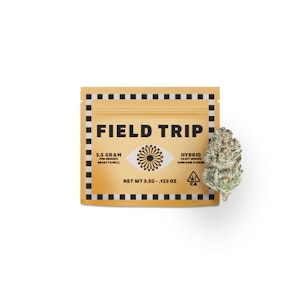 Field Trip - Field Trip | Sundae Funday | Pre-Ground | 3.5g