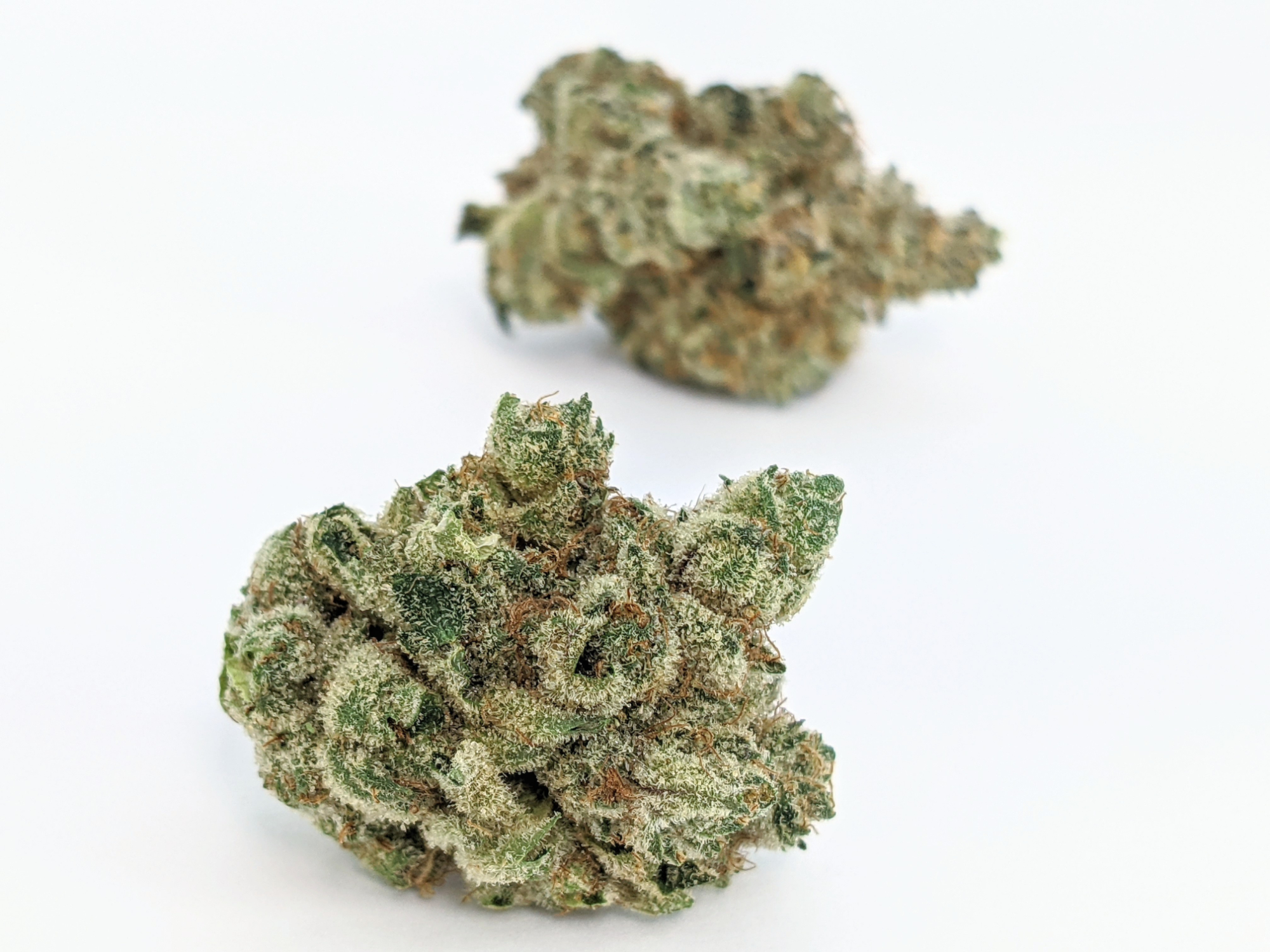 Banana Cake, Indoor Portland Cannabis Delivery Kush Cart Cannabis