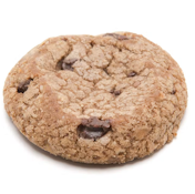Dr. Norms Chocolate Chip Single $3