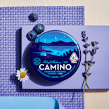 Camino - Midnight Blueberry ( SLEEP ) Gummies - 100mg