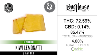 WLE | 2 g | Kiwi Lemonatti Shatter
