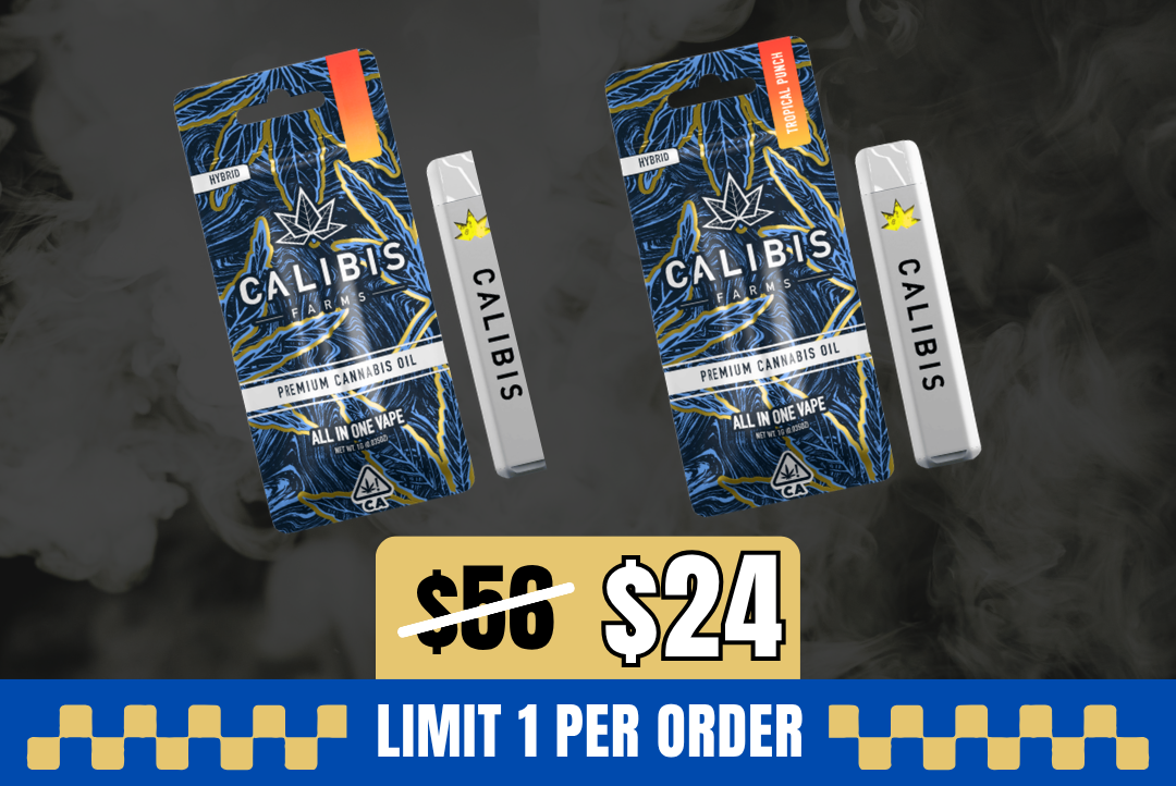 2g Calibis RTU Bundle picture