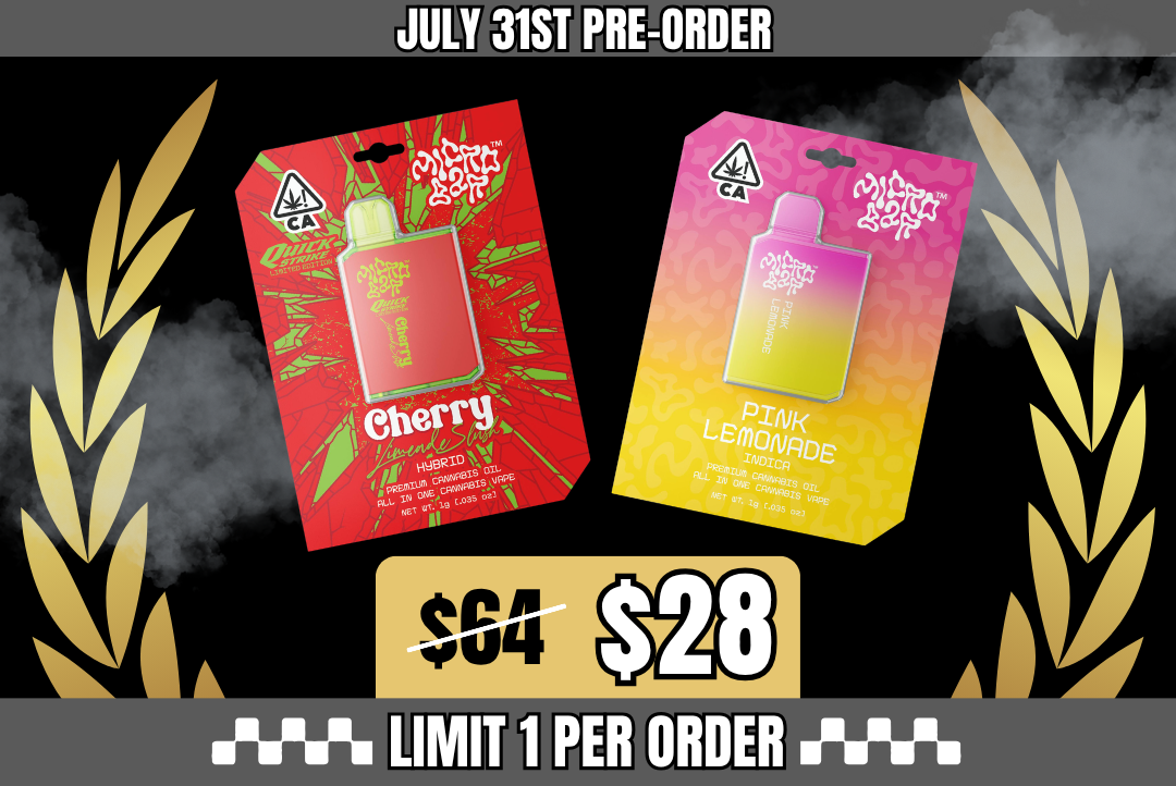 2g Lemon Lime Micro Bar Vape Bundle • Pre-Order picture