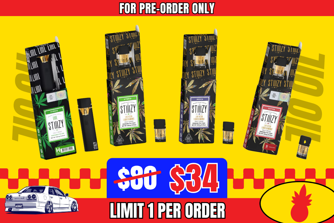 2g STIIIZY’s Pit Stop Vape Bundle • Pre-Order picture