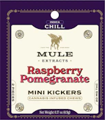 Raspberry Pomegranate Gummies 2pk 20mg