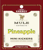 Pineapple Gummies 2pk 20mg