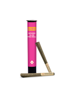 PLUME - ORANGE OASIS 2PK 0.5 GRAM INFUSED PRE-ROLLS