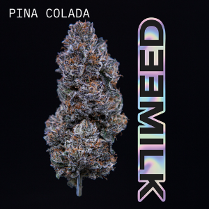 Milk Weed - Pina Colada - Milk Weed - 3.5g flower