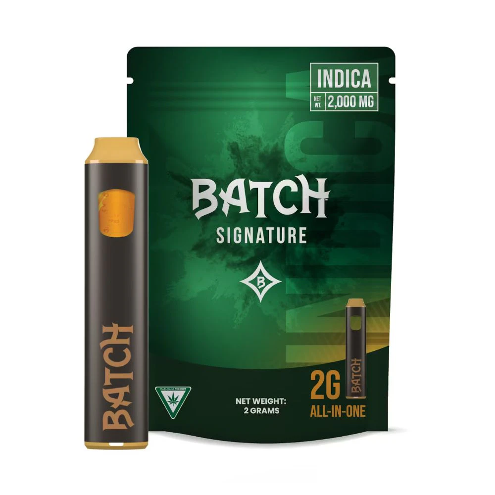 Batch - Lime Sorbet 2g Disposable - BATCH Main Image