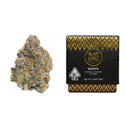 Maven Genetics - 3.5g - Orange Sapphire