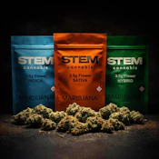 STEM - HAZY BRAIN FREEZE 3.5 GRAMS