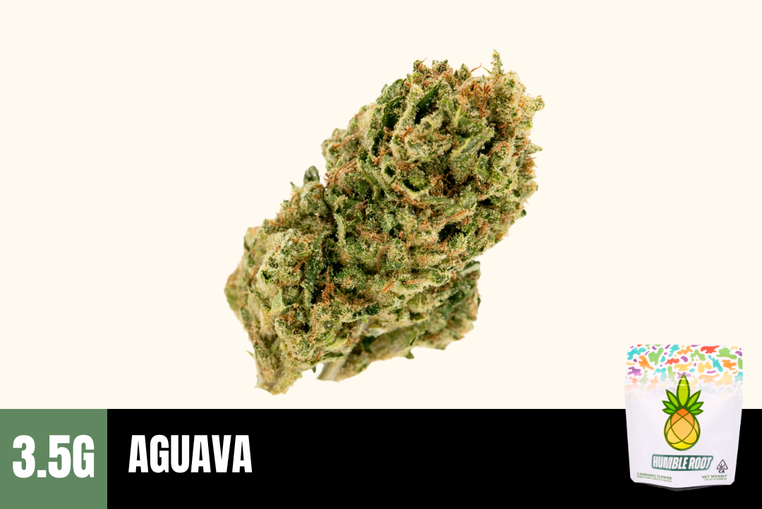 3.5g Aguava (Greenhouse) - Humble Root picture