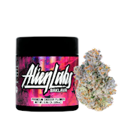 3.5g Baklava (Indoor) - Alien Labs 