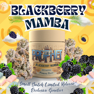 Prophet Brands - 3.5g Blackberry Mamba (Small Batch Indoor) - Prophet Brands