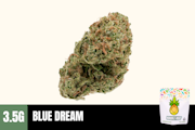 3.5g Blue Dream (Greenhouse) - Humble Root