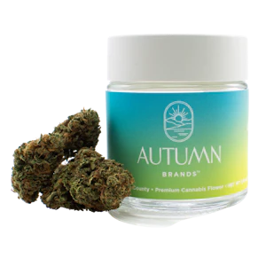 AUTUMN BRANDS - Autumn Brands 3.5g Blueberry Pancakes