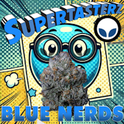 3.5g Blue Nerds (Indoor) - Supertasterz