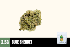 3.5g Blue Sherbet (Greenhouse) - Humble Root