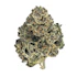 Product Preview Image 2