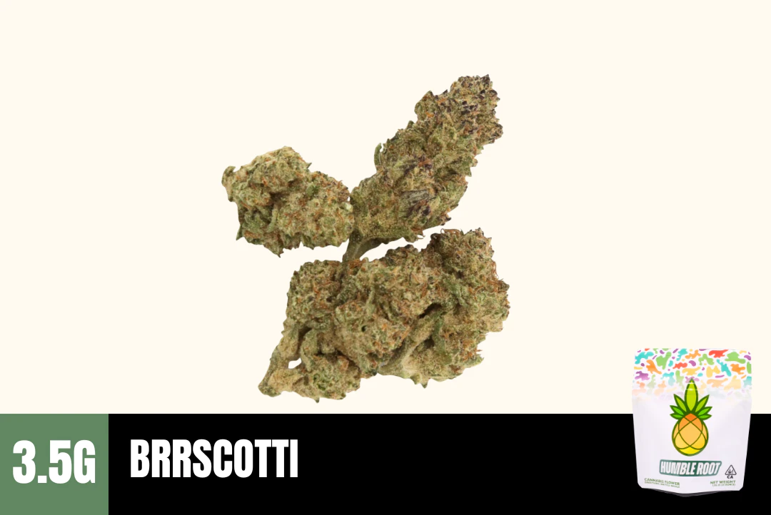 Humble Root - 3.5g Brrscotti (Greenhouse) - Humble Root Main Image