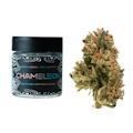 3.5g Bubble Bath (Greenhouse) - Chameleon