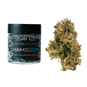 Chameleon - 3.5g Bubble Bath (Greenhouse) - Chameleon