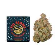 3.5g Chems & Cherry (Indoor) - Fig Farms