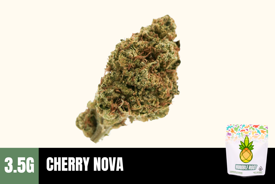 3.5g Cherry Nova (Greenhouse) - Humble Root picture