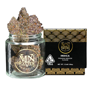 Maven Genetics | Indoor | Chroma | 3.5g