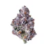 Product Preview Image 2