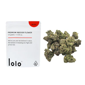 lolo - 3.5g Cosmic Latte (Indoor) - LOLO