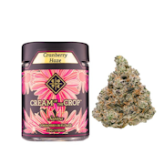 3.5g Cranberry Haze (Indoor) - Cream of the Crop