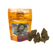 3.5g Donechello (Indoor) - Queso Exotics