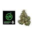 3.5g Durban Poison - UpNorth