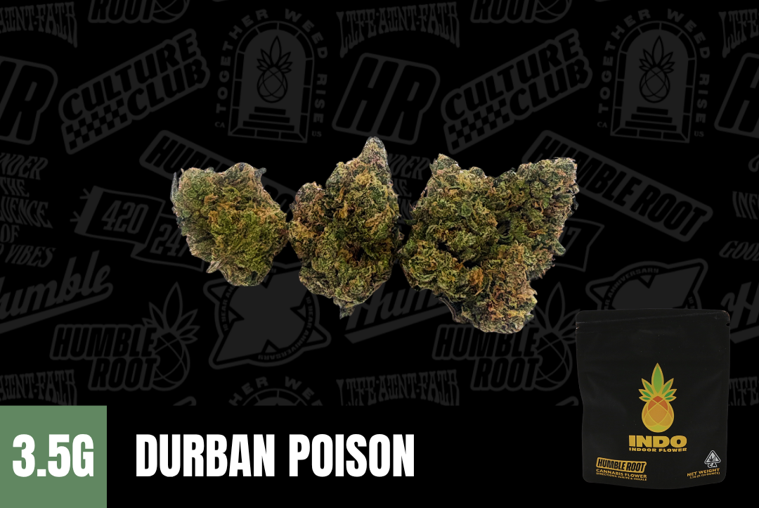 3.5g Durban Poison "INDO" (Indoor Smalls) - Humble Root picture