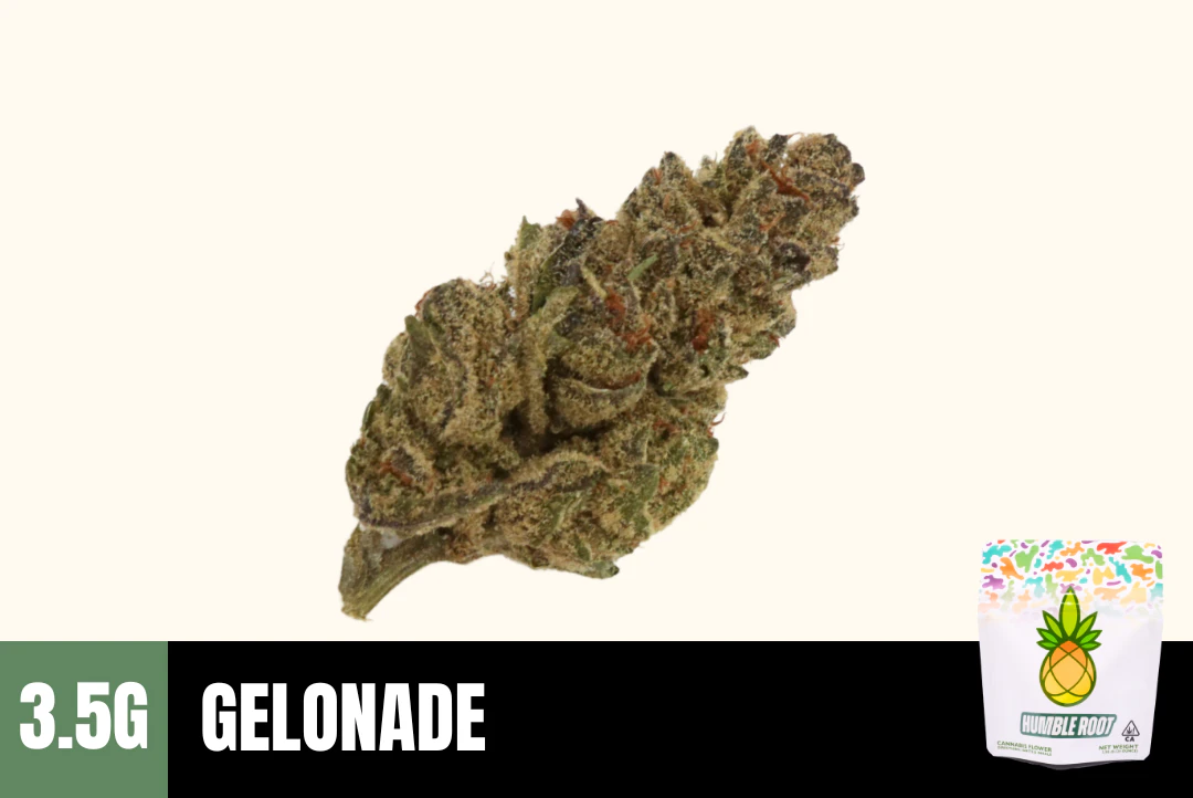 Humble Root - 3.5g Gelonade (Greenhouse) - Humble Root Main Image