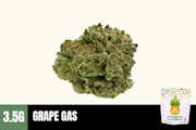 3.5g Grape Gas (Greenhouse Smalls) - Humble Root