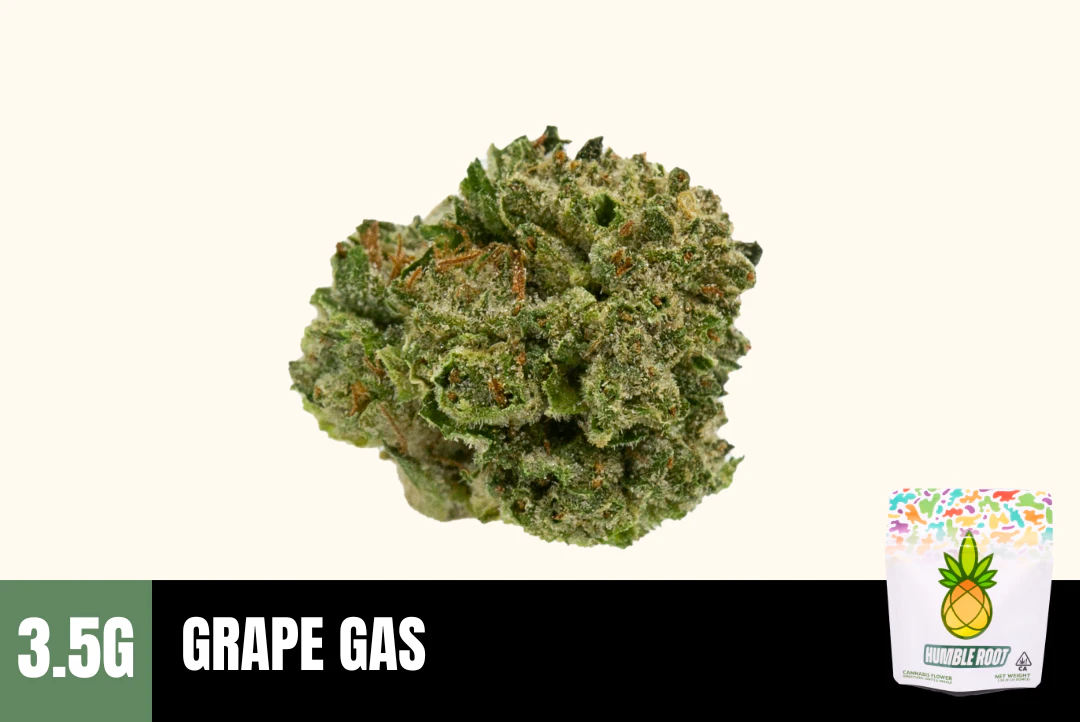 Humble Root - 3.5g Grape Gas (Greenhouse Smalls) - Humble Root Main Image