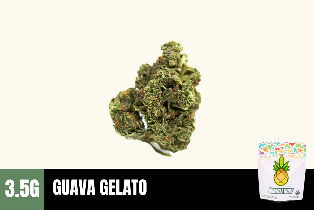 3.5g Guava Gelato (Greenhouse) - Humble Root picture