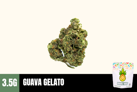 Humble Root - 3.5g Guava Gelato (Greenhouse) - Humble Root