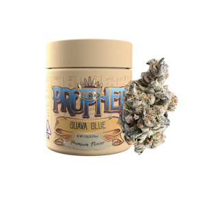 Prophet Brands - 3.5g Guava Glue (Small Batch Indoor) - Prophet Brands